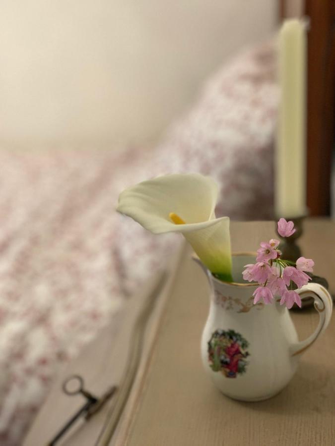 La Cle De La Porte B&B Антиб Екстериор снимка