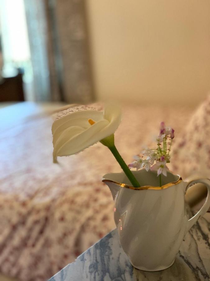 La Cle De La Porte B&B Антиб Екстериор снимка
